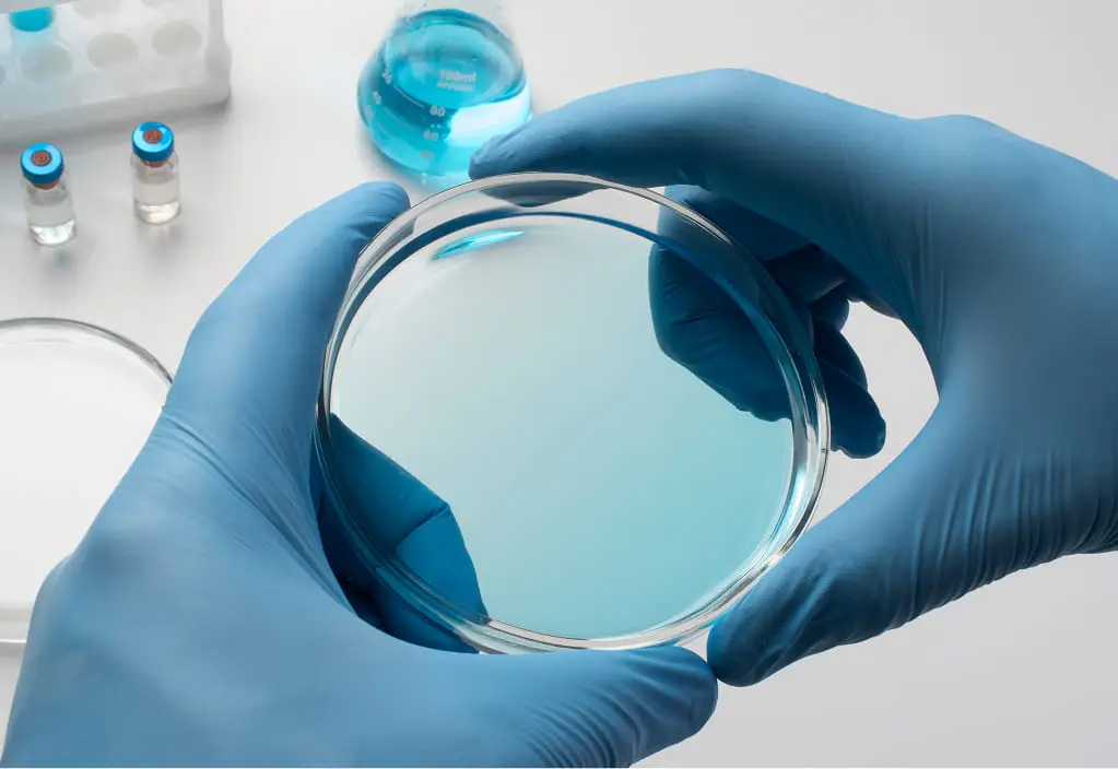 Peptides in body-weight research infographic